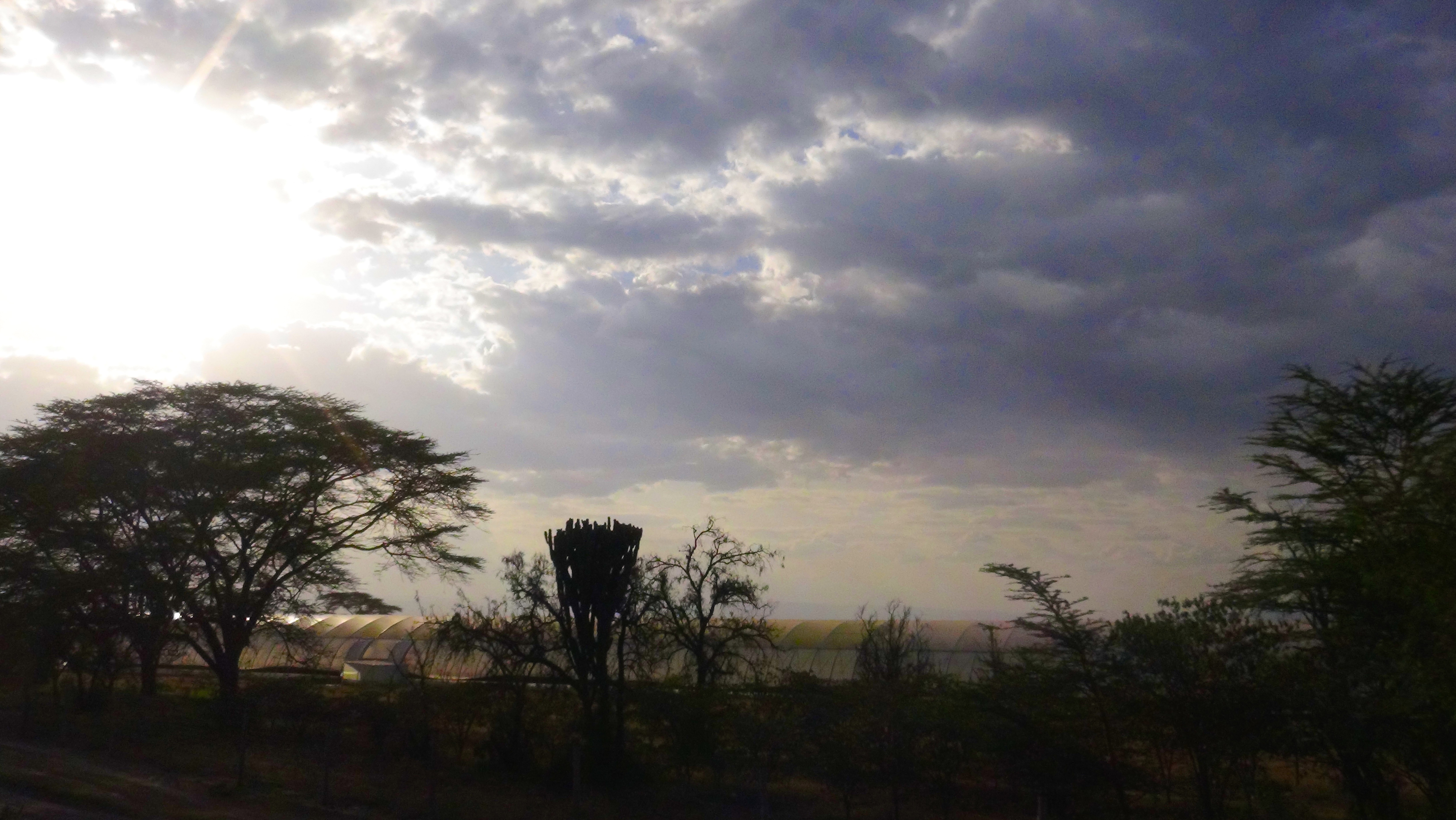 Nakuru – Sunset
