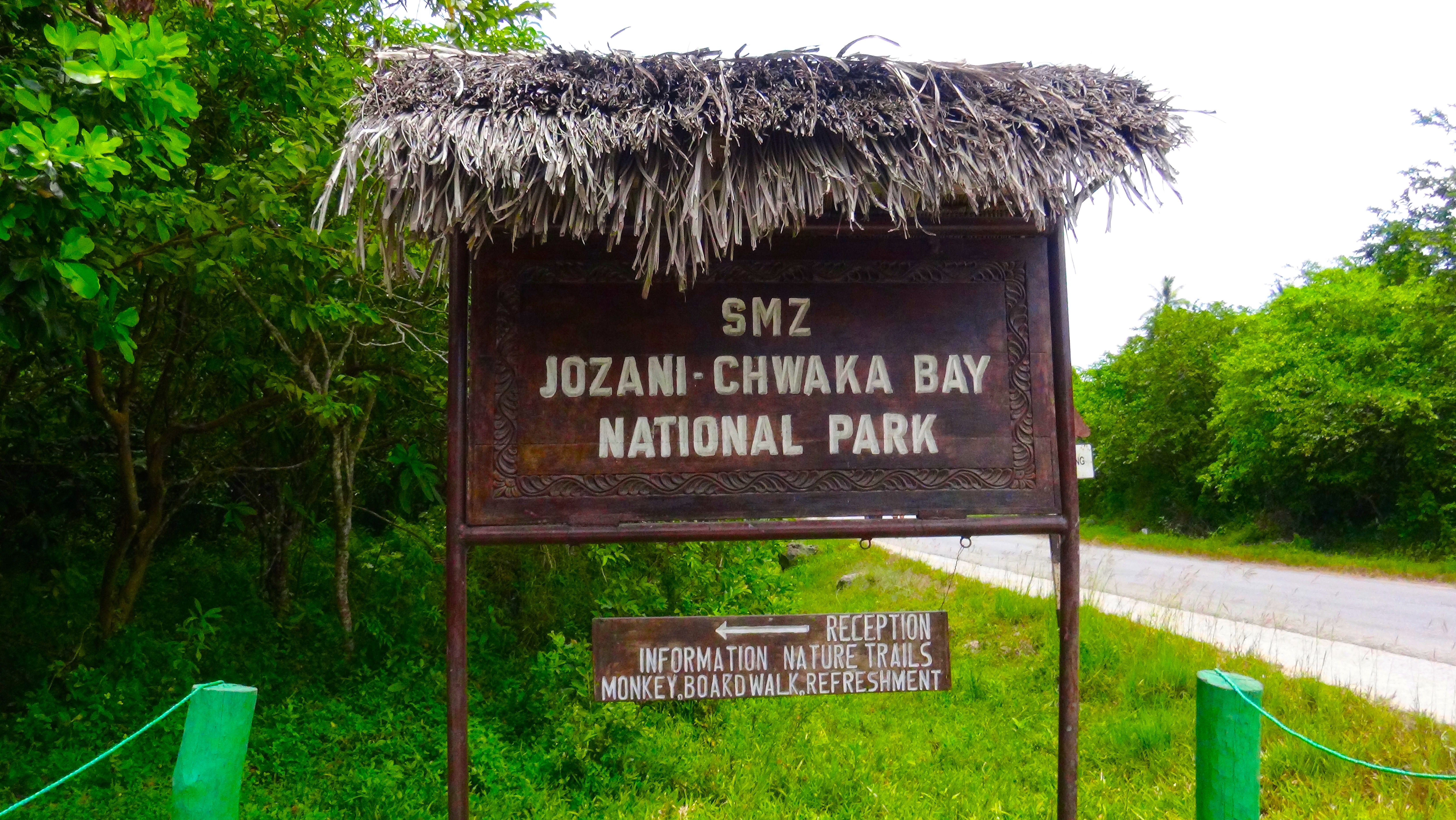 Zanzibar – Jozani Forest