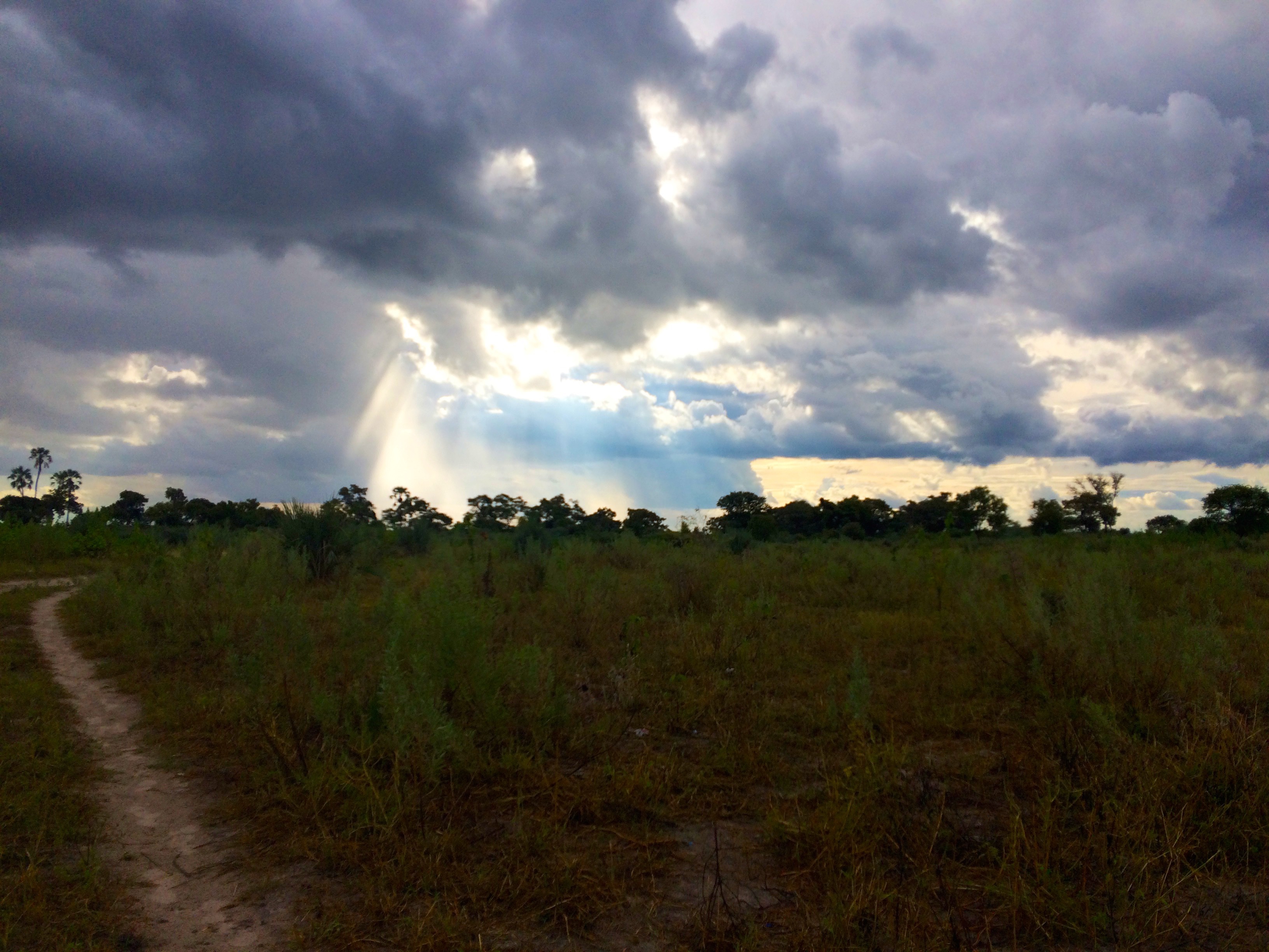 Lumières – près du Delta d’Okavango