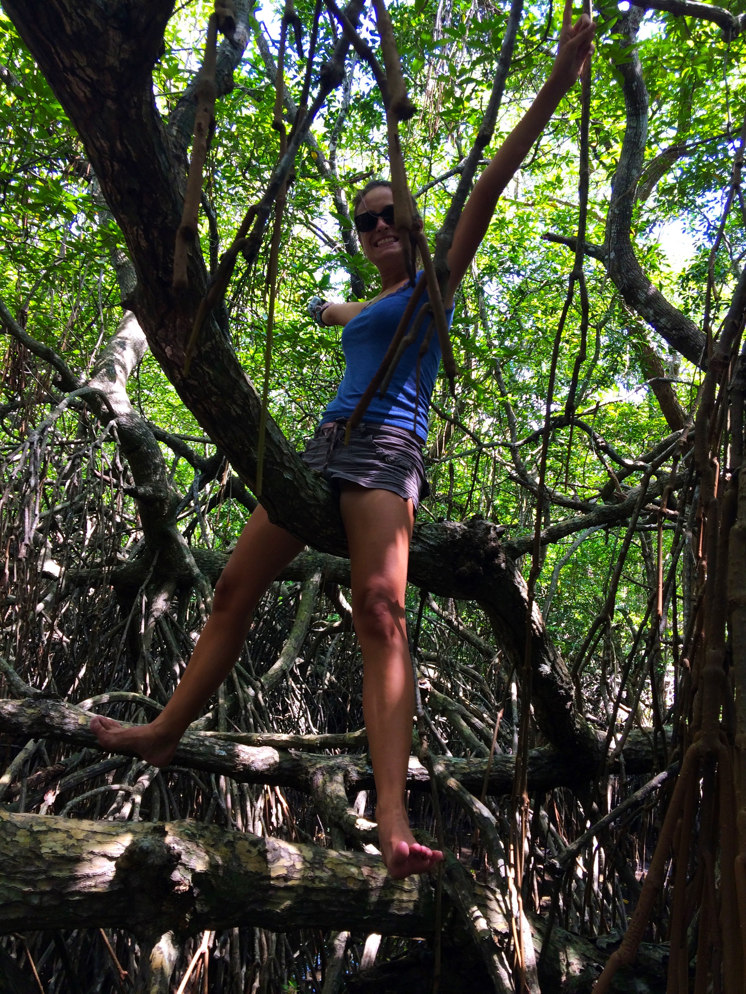 Assise sur la Mangrove