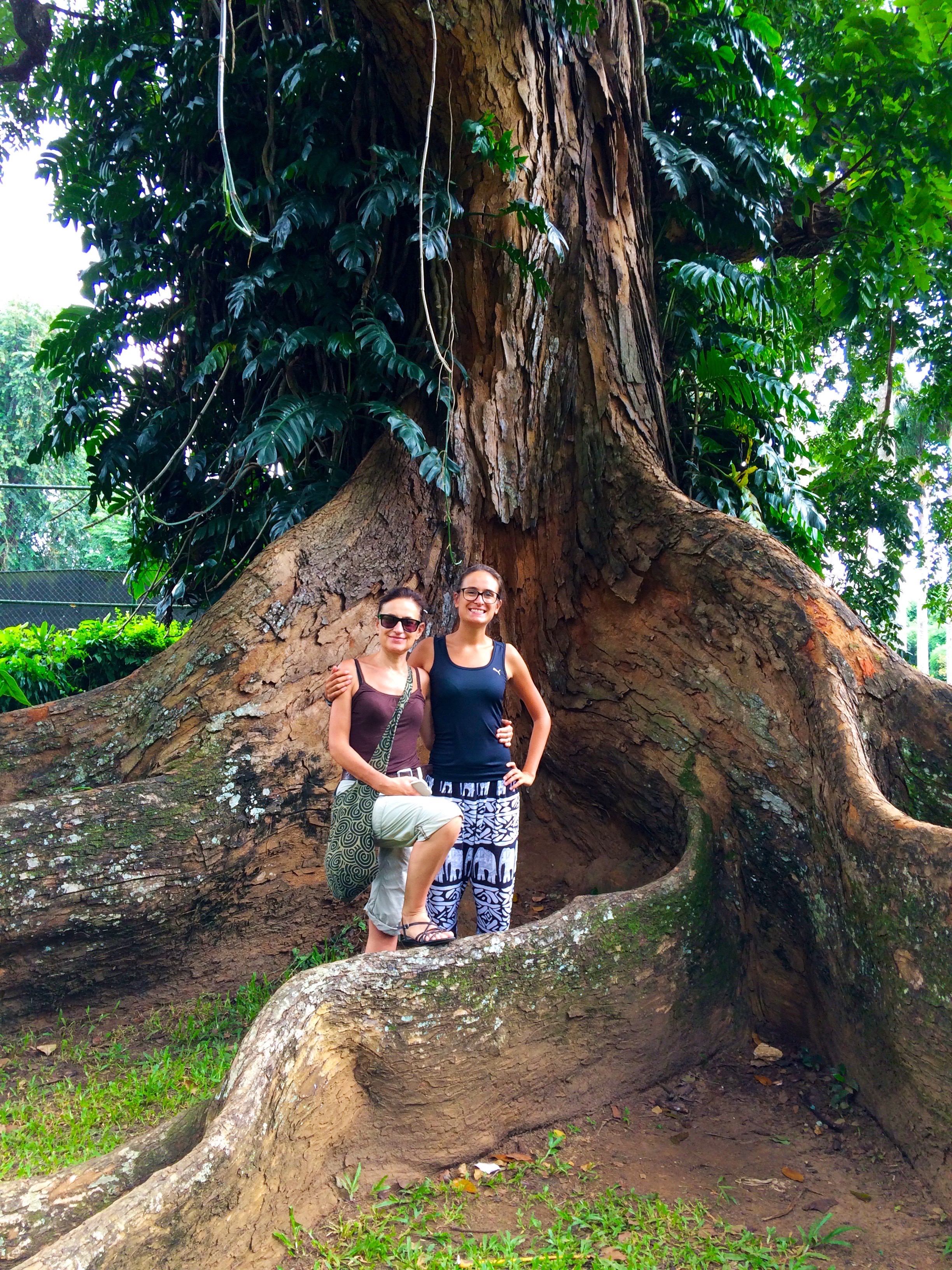 jardin Botanique – Kandy
